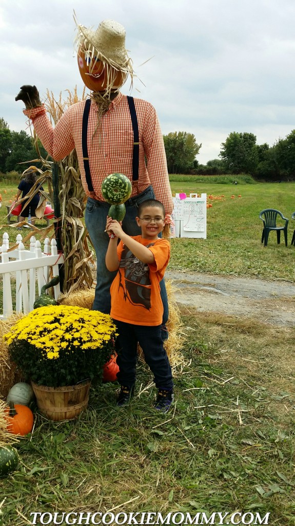 Fall Pumpkin Picking Tips - Tough Cookie Mommy